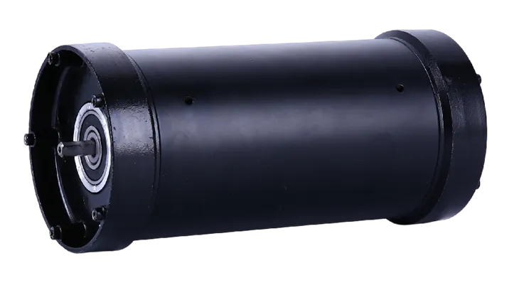 Motore della pompa a membrana 101S-23